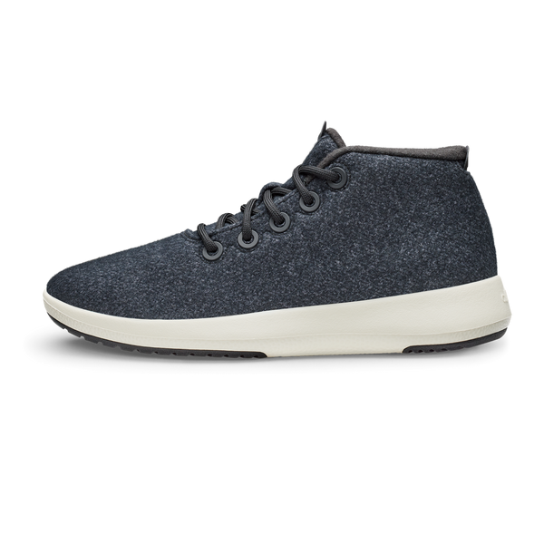 Allbird hightops online