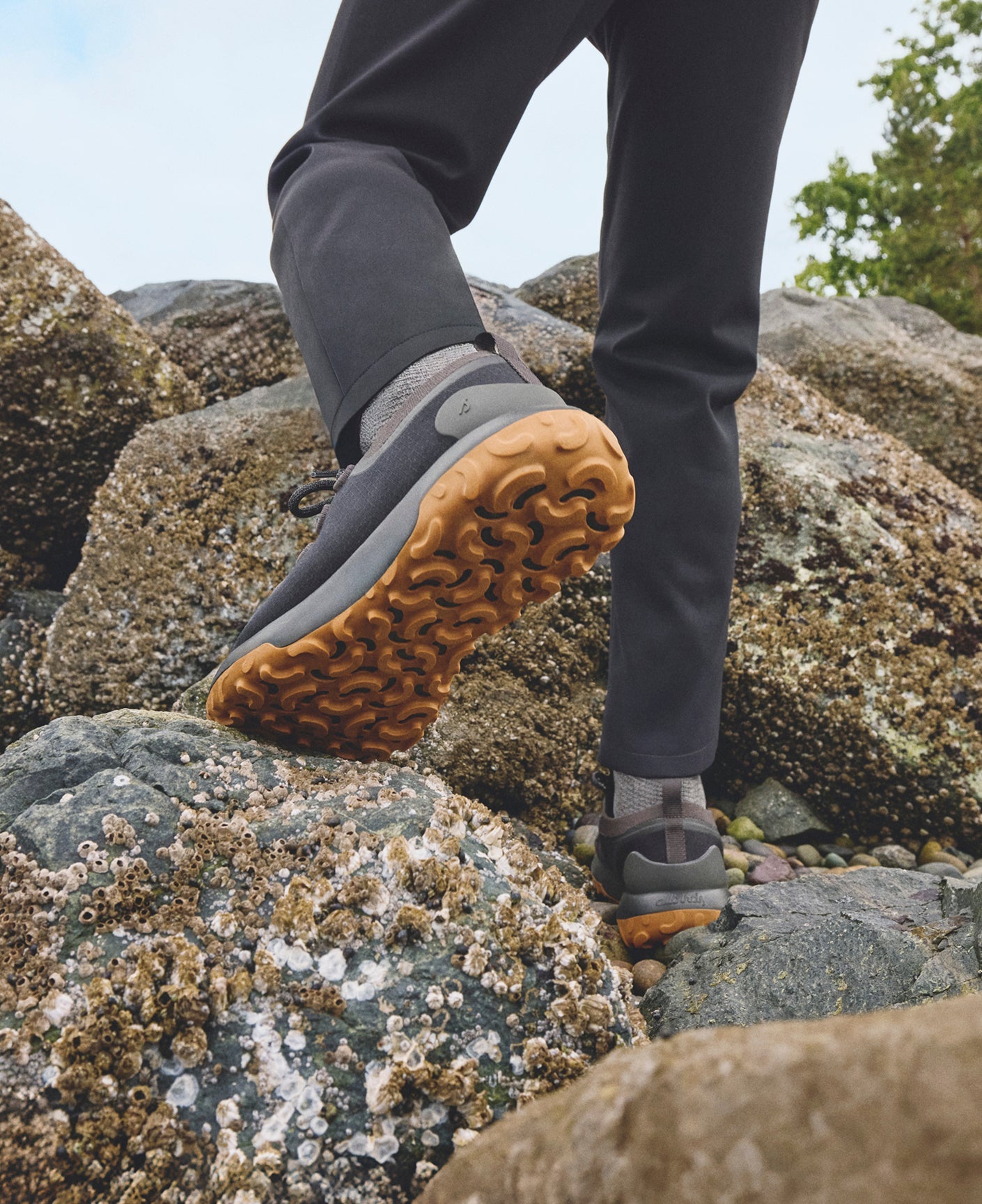Allbirds