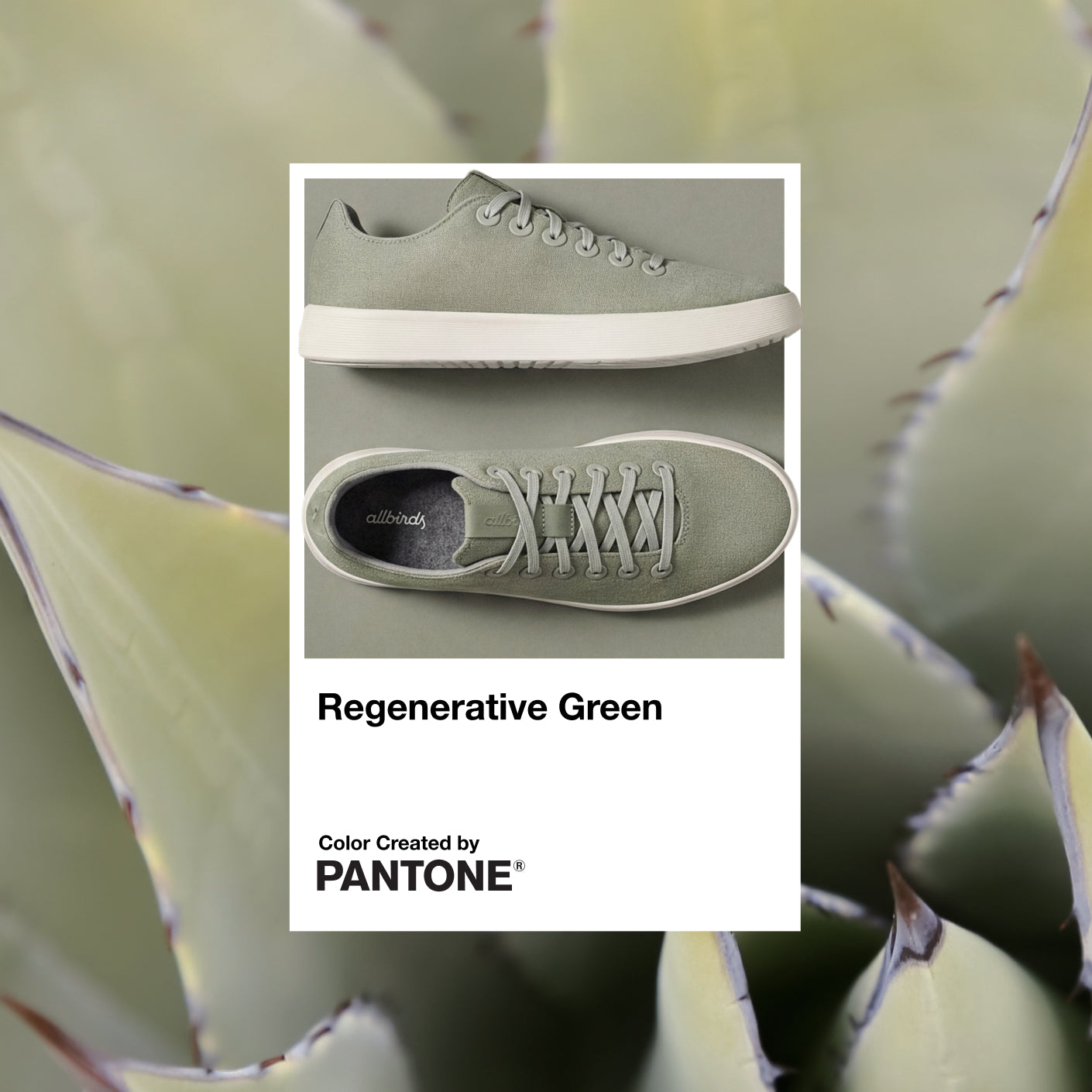 Men's Cruiser Canvas Sneakers | Lightweight Everyday Comfort