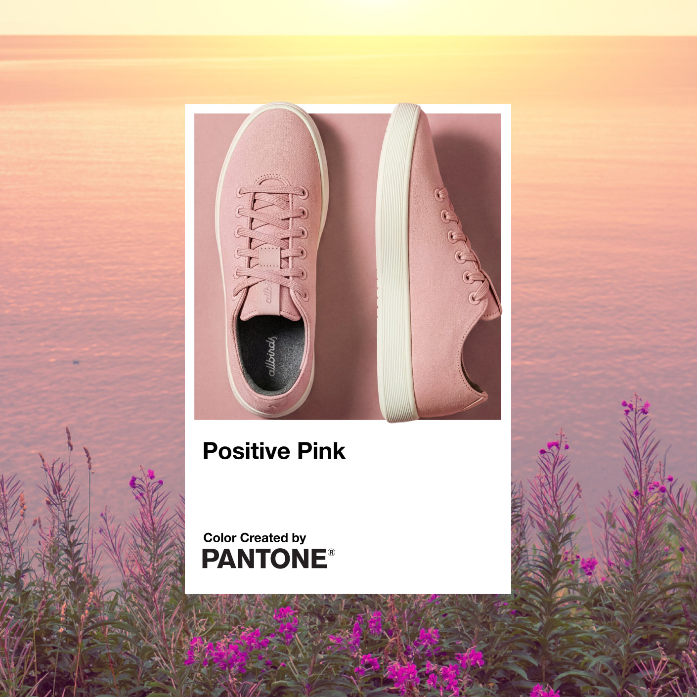 Women's Cruiser Canvas Sneakers | Lightweight Everyday Comfort
