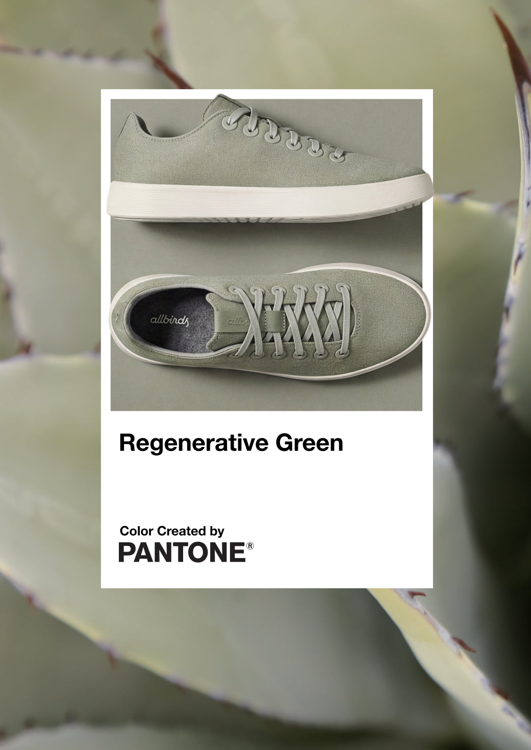 Allbirds Running, brand website product image