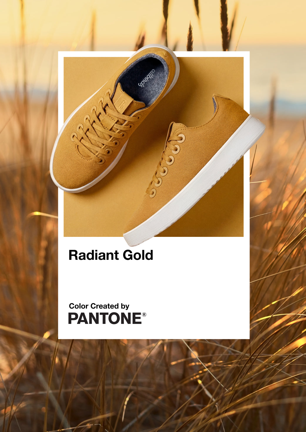 Allbirds Running, brand website product image