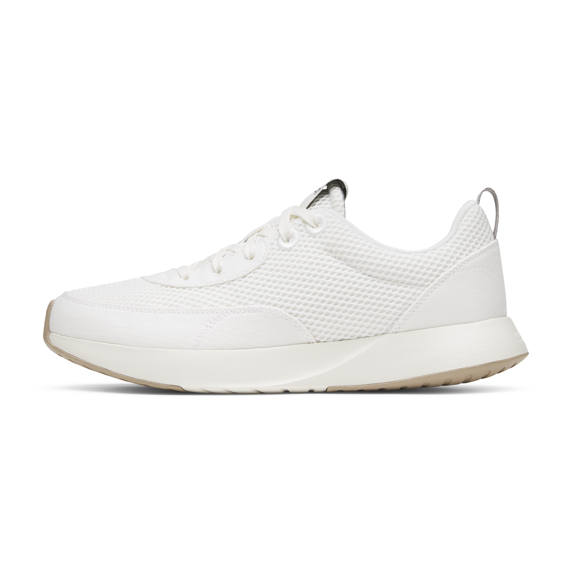 Allbirds New Arrivals, Men's Dashers, Loungers, Socks - FREE