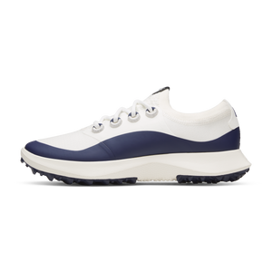 A11417_25Q1_Golf_Dasher_Blizza
