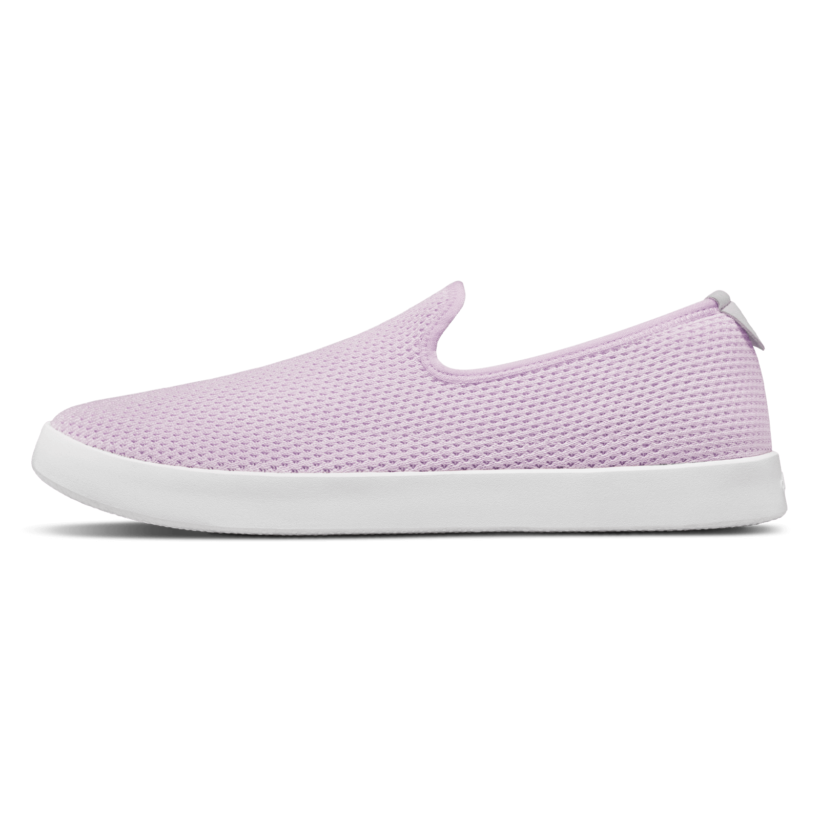 Women's Tree Loungers - Lilac (White Sole)